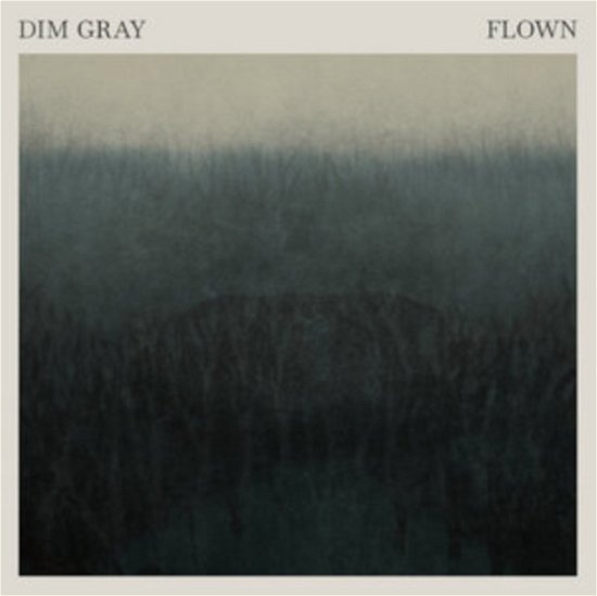 Flown - Dim Gray - Musiikki - GRIM DAY RECORDS / KINGMAKER - 3267998739320 - perjantai 16. heinäkuuta 2021