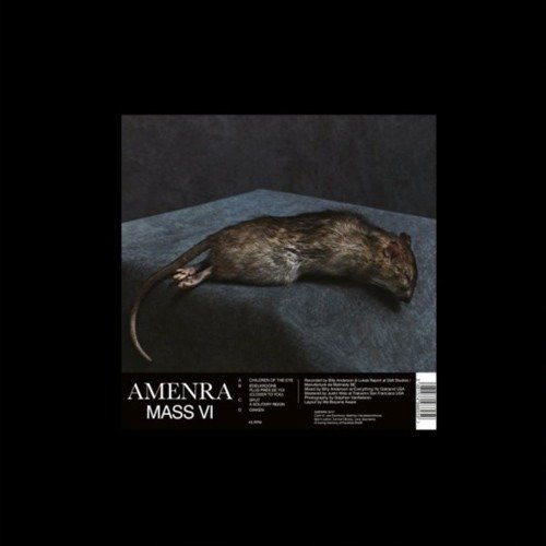 Cover for Amenra · Mass Vi (Marrow) (LP) (2023)