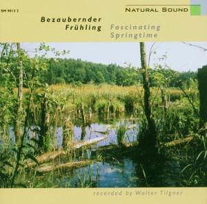 Cover for Tilgner · Fascinating Springtime (CD) (2000)