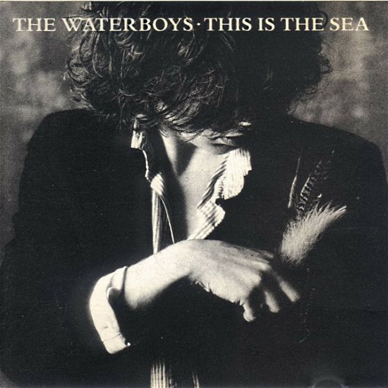 Cover for Waterboys · This Is The Sea (CD)