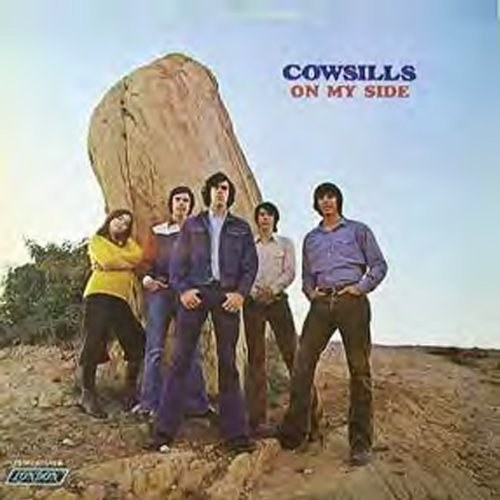 Cover for Cowsills · On My Side (CD) [Bonus Tracks edition] (2010)