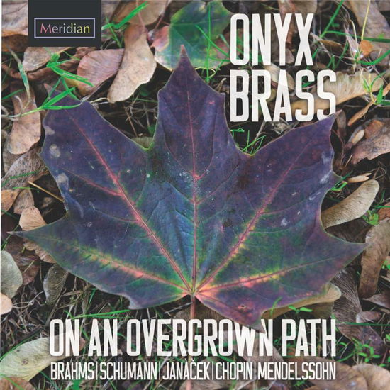 On an Overgrown Path Meridian Klassisk - Onyx Brass - Music - DAN - 5015959463320 - March 13, 2015