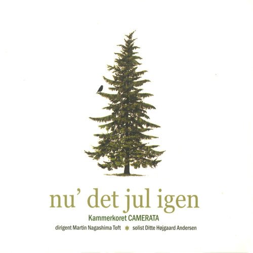 Cover for Camerata Kammerkor · Nu' det Jul Igen (CD) (2008)