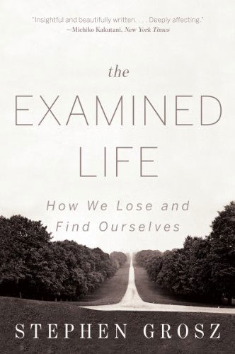 Cover for Stephen Grosz · The Examined Life: How We Lose and Find Ourselves (Paperback Bog) (2014)