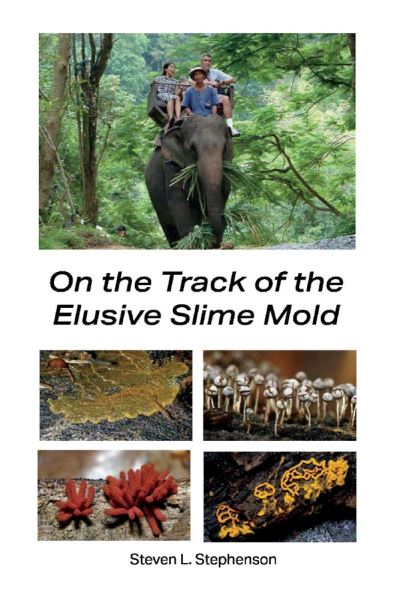 Cover for Steve Stephenson · On the Track of the Elusive Slime Mold (Paperback Book) (2020)