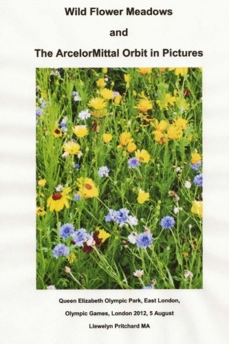 Cover for Llewelyn Pritchard Ma · Wild Flower Meadows and the Arcelormittal Orbit in Pictures (Photo Albums ) (Pocketbok) (2013)