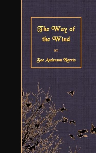 Cover for Zoe Anderson Norris · The Way of the Wind (Paperback Book) (2015)