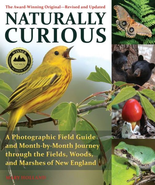 Cover for Mary Holland · Naturally Curious - New Edition (Book) (2019)