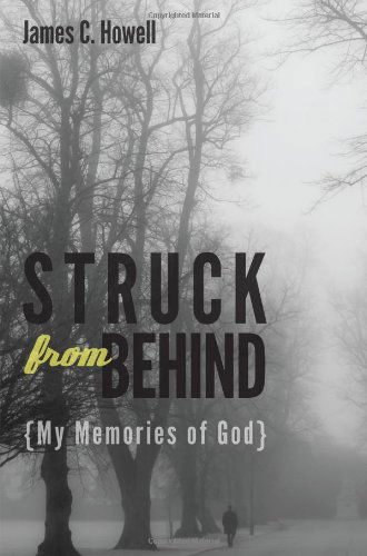 Struck from Behind: My Memories of God - James C. Howell - Books - Wipf & Stock Pub - 9781610979320 - November 29, 2012