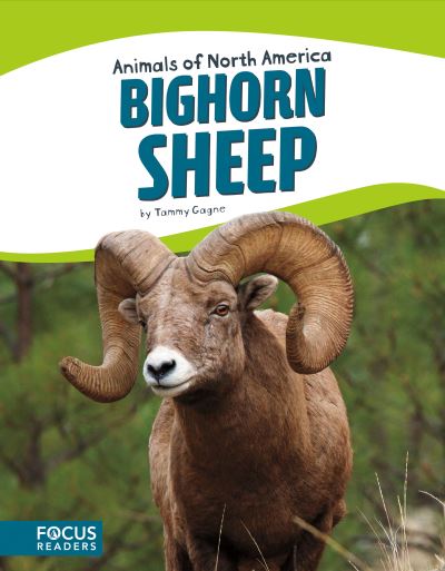 Cover for Tammy Gagne · Bighorn Sheep (Book) (2017)