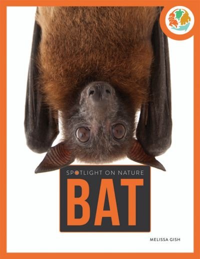 Cover for Melissa Gah · Spotlight on Nature: Bat - Spotlight on Nature (Paperback Book) (2021)