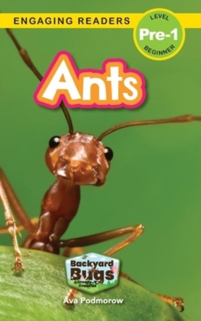 Ants - Ava Podmorow - Books - AD Classic - 9781774767320 - November 29, 2022