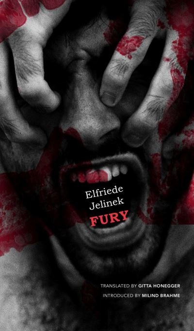 Cover for Elfriede Jelinek · Fury (Hardcover Book) (2022)