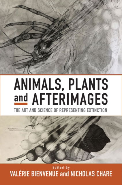 Cover for Animals, Plants and Afterimages: The Art and Science of Representing Extinction (Paperback Book) (2024)
