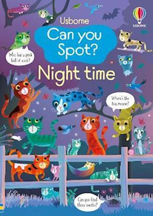 Cover for Kirsteen Robson · Can you Spot? Night time - Can you Spot? (Taschenbuch) (2025)