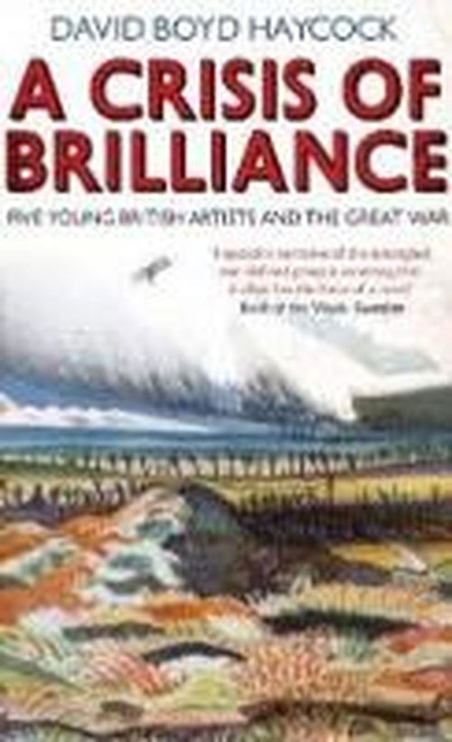 Cover for Boyd Haycock David · A Crisis Of Brilliance (Paperback Book) (2010)