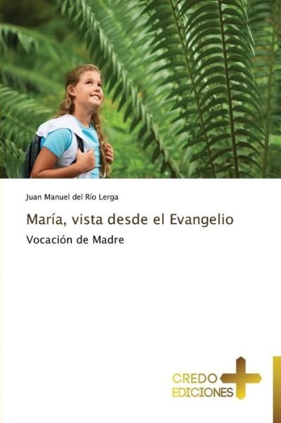 Cover for Juan Manuel Del Río Lerga · María, Vista Desde El Evangelio (Paperback Book) [Spanish edition] (2014)