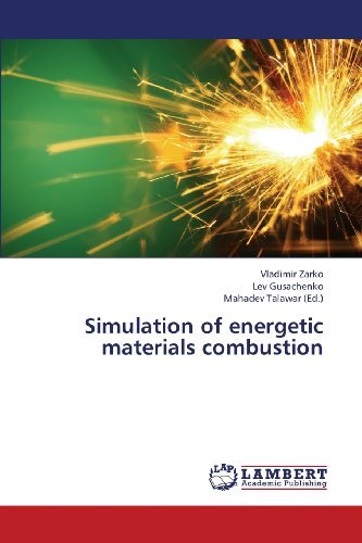 Cover for Lev Gusachenko · Simulation of Energetic Materials Combustion (Paperback Book) (2013)