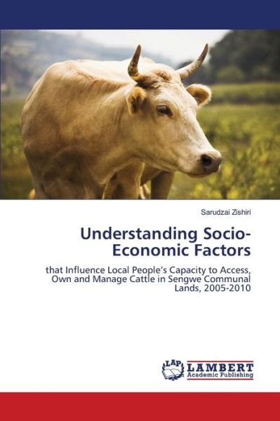 Cover for Zishiri · Understanding Socio-Economic Fa (Bok) (2018)