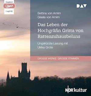 Cover for Bettina von Arnim · Das Leben der Hochgräfin Gritta von Rattenzuhausbeiuns (CD)