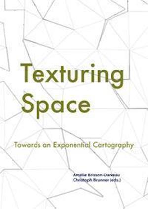 Cover for Manning · Texturing Spaces (Bok)