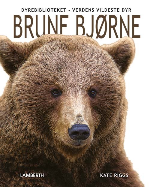 Cover for Kate Riggs · Verdens vildeste dyr: Brune bjørne (Bound Book) [1. Painos] (2022)