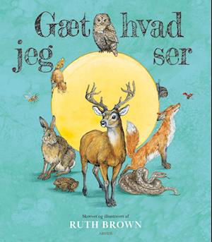 Cover for Ruth Brown · Gæt hvad jeg ser (Bound Book) [1st edition] (2023)