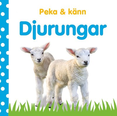 Cover for Dawn Sirett · Peka &amp; känn. Djurungar (Book) (2021)