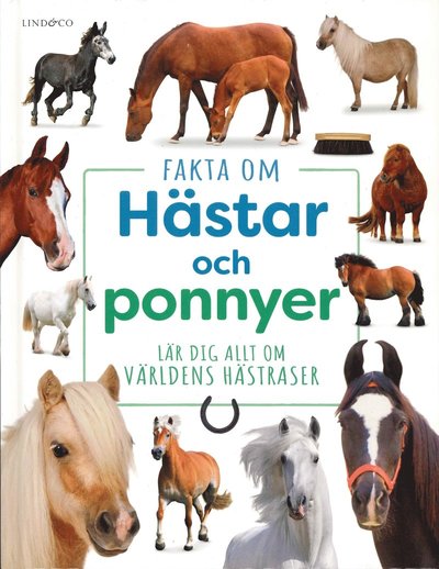 Cover for Kritika Gupta · Fakta om hästar och ponnyer : Lär dig allt om världens hästraser (Hardcover Book) (2025)