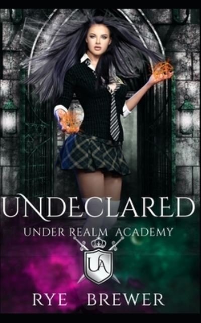 Undeclared - Rye Brewer - Books - Independently Published - 9798723653320 - March 17, 2021
