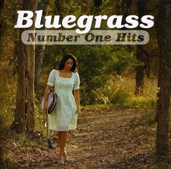 Cover for Bluegrass · Bluegrass Number One Hits (CD) (2010)