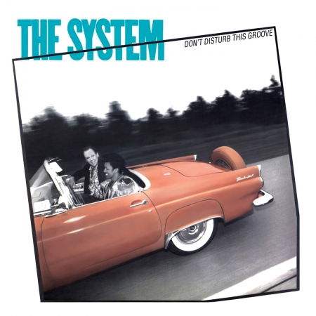 Cover for System · Don't Disturb This Groove (CD) (1990)