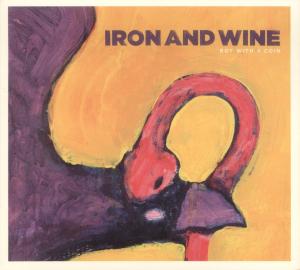 Cover for Iron &amp; Wine · Boy With A Coin (CD) (2007)