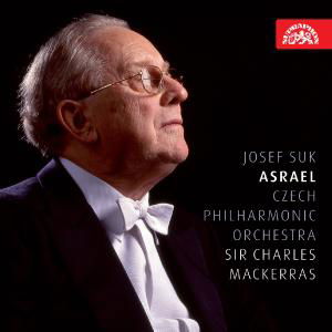 Asreal Symphonyin C Minor - Suk / Cpo / Mackerras - Musik - SUPRAPHON RECORDS - 0099925404321 - 22. Februar 2011