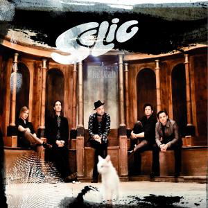 Cover for Selig · Und Endlich Unendlich (CD) (2009)