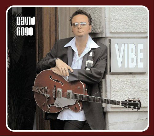 Vibe - David Gogo - Muzyka - ROCK - 0624481003321 - 12 października 2004