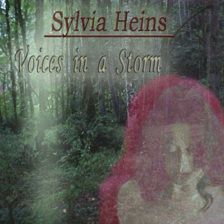 Cover for Queen Silveen · Voice in a Storm (CD)