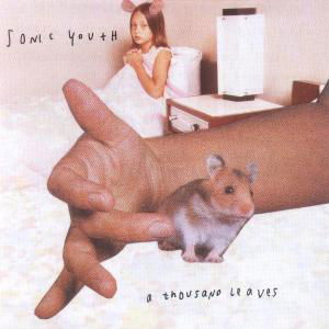 Cover for Sonic Youth · Thousand Leaves (CD) (1998)