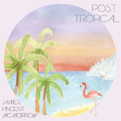 Post Tropical - James Vincent Mcmorrow - Muziek - POP - 0821826007321 - 16 maart 2020