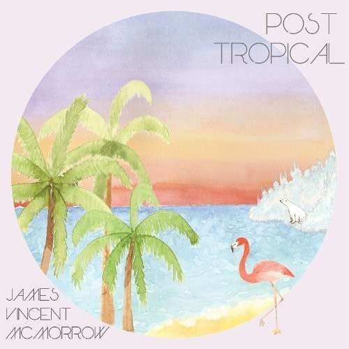 Cover for James Vincent Mcmorrow · Post Tropical (CD) (2020)