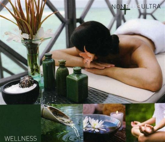 Cover for Wellness · Non Plus Ultra (CD)