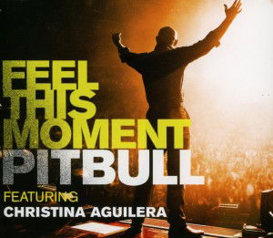 Cover for Pitbull · Feel This Moment (SCD) (2013)