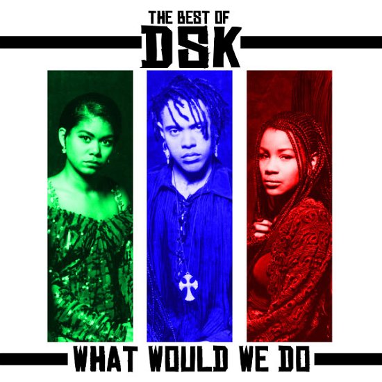 Cover for Dsk · Best Of: What Would We Do (CD) (2012)