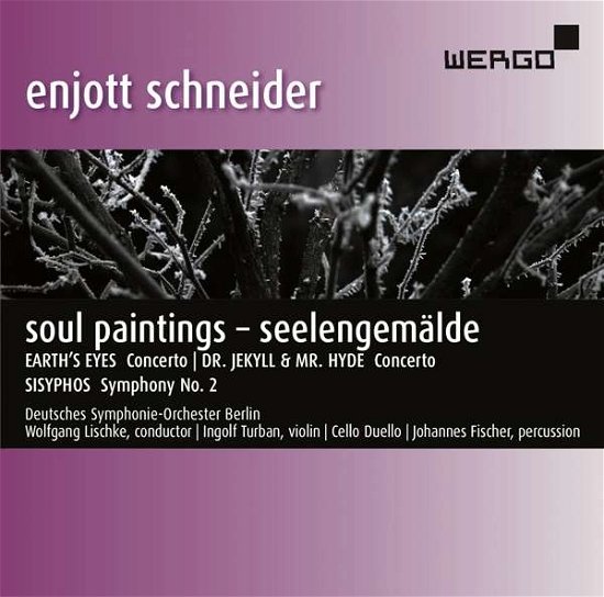 Cover for Schneider / Deutsches Symphonie-orchester Berlin · Soul Paintings (CD) (2016)