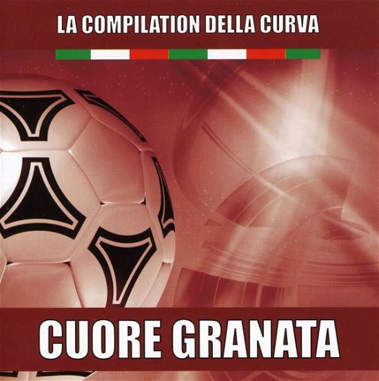 Cover for Torino (CD) (2010)
