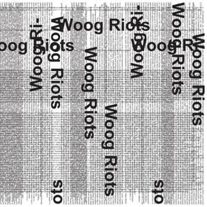 Cover for Woog Riots · From Lo-fi to Disco! (LP) (2013)