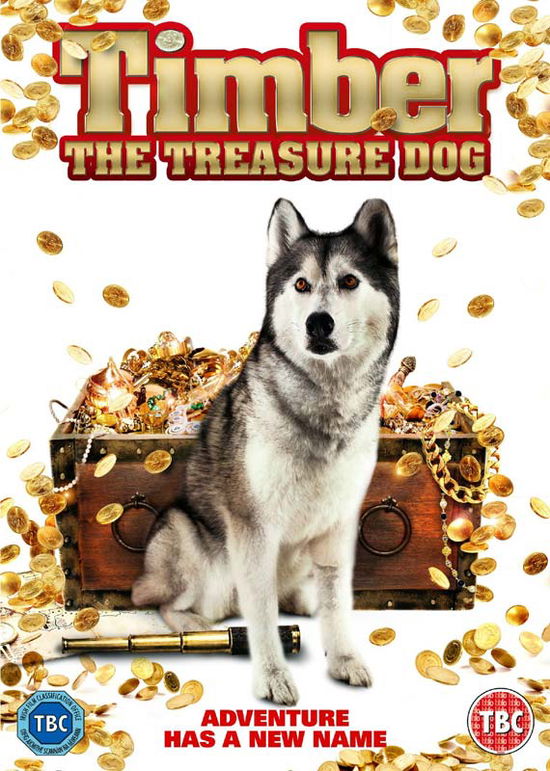 Cover for Timber the Treasure Dog · Timber The Treasure Dog (DVD) (2018)