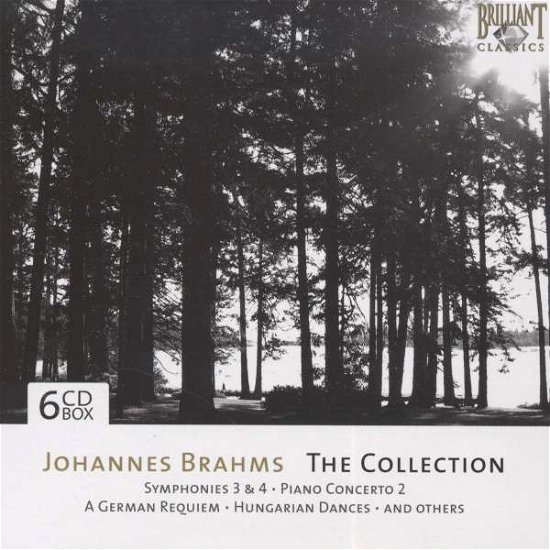 Cover for Bach Edition · Cantatas / Kantaten (CD)