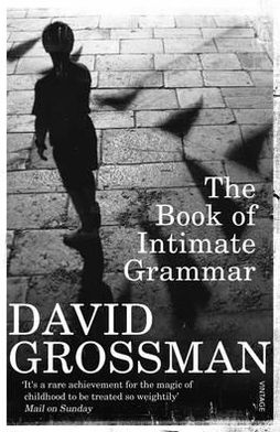 The Book Of Intimate Grammar - David Grossman - Livros - Vintage Publishing - 9780099552321 - 2 de setembro de 2010