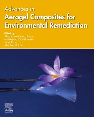 Cover for Advances in Aerogel Composites for Environmental Remediation (Paperback Book) (2021)